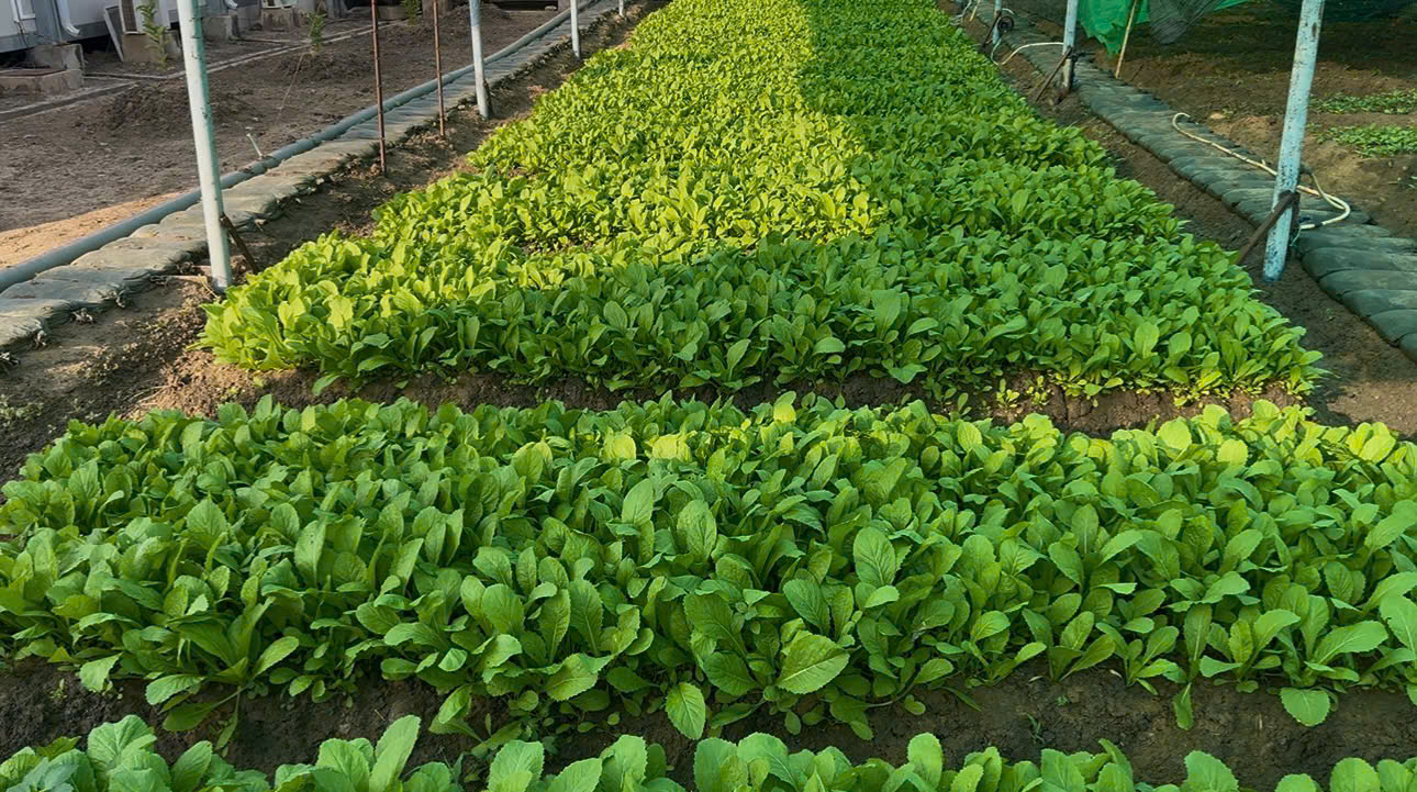 /UploadStore/admin/251115 dcb4/2135270258896435703.jpg